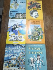 Lot 1, 6 carti ilustrate pentru copii / C0G