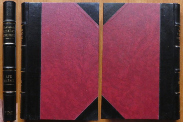 Hortensia Papadat Bengescu, Ape adanci, 1919, editia 1, volum de debut