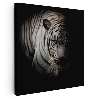 Tablou tigru alb fundal negru Tablou canvas pe panza CU RAMA 60x60 cm foto