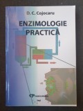 D. C. Cojocaru - Enzimologie Practica