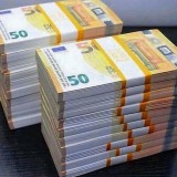 Euro recuzita legalizata