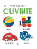 Cumpara ieftin Prima mea carte. Cuvinte