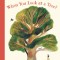 What Do You See When You Look at a Tree?