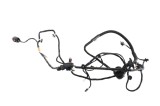 Cablaj ușă st&acirc;nga spate TESLA MODEL Y 2023 OEM: 1489053-00-E 22598656