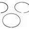 Mahle Set segmenti piston