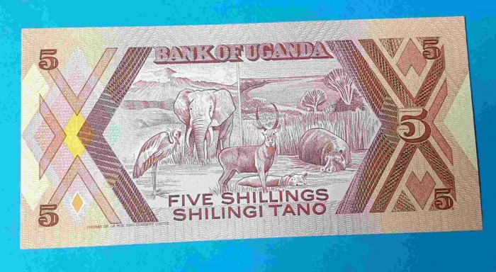 Uganda - 5 Shilingi Tano 1987 - bancnota UNC - Superba