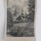 Carte postala circulata, 1938 &ndash; Castelul Peles, Sinaia