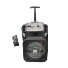 Boxa Activa Portabila Tip Troller ,Statie Integrata , Bluetooth , Radio FM , USB , Card,Telecomanda