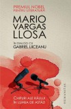 Chipuri ale răului &icirc;n lumea de astăzi (Mario Vargas Llosa &icirc;n dialog cu Gabriel Liiceanu) - Paperback brosat - Mario Vargas Llosa - Humanitas
