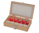Set 5 freze profilate Router bits &oslash;8mm tip C, Raider 158302