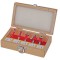 Set 5 freze profilate Router bits &oslash;8mm tip C, Raider 158302