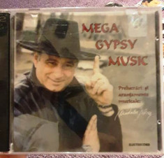 Mega Gypsy Music. aranjamente muzicale Madalin Voicu foto