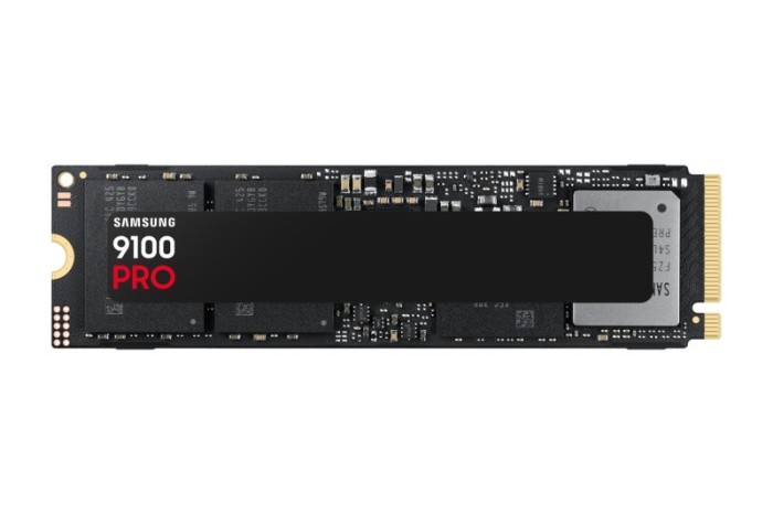 SM SSD 1TB 9100 PRO PCIe 5.0 M2