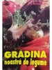M. Vladut - Gradina noastra de legume (editia 1977)