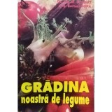 M. Vladut - Gradina noastra de legume (editia 1977)