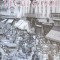 BUCURESTII VECHI SI NOI-VOLUM COORDONAT DE ANDREI SLAVUTEANU-245138