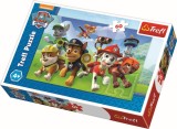 PUZZLE TREFL 60 PATRULA CATELUSILOR GATA DE ACTIUNE SuperHeroes ToysZone