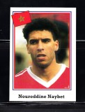 B10 - Sticker fotbal - Campionatul mondial USA - 1994 - nr 380