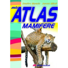 Mic atlas - Mamifere - Aurora Mihail, Dumitru Murariu