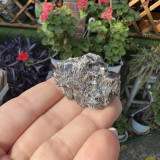 Floare de mina pentru colectie unicat - c184 lot 1, Stonemania Bijou