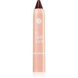 Yves Rocher Le Brillant ruj hidratant in creion culoare 10 Prune Tendre 2.2 g