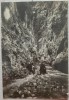 In pasul Bicaz// Foto Tr. Zaharie 1926