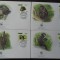 Zair-WWF,FDC Fauna -set complet