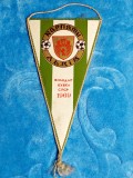 Fanion fotbal in sala - Hallescher Chemie Fussballclub