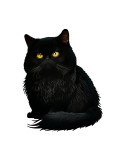 Cumpara ieftin Sticker decorativ Pisica, Negru, 70 cm, 6131ST, Oem