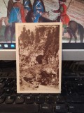 C&acirc;mpulung, Peștera D&acirc;mbovicioara, autoturism, 1945, 205
