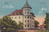 Movila Eforie Sud &ndash; Vila Ortansa, carte poștală interbelică color