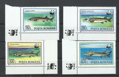 TSV$ - 1994 LP 1359 FAUNA OCROTITA - STURIONI MNH/** LUX foto
