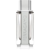 Ferragamo Ferragamo Bright Leather Eau de Toilette pentru bărbați 100 ml