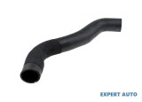 Furtun admisie Peugeot Boxer (2002-&gt;)[244] #1