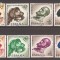 Spania 1958 - 400 de ani de la moartea regelui Carlos I, MNH
