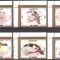 RAS AL KHAIMA 1972 FAUNA PASARI ( serie dantelata ) MNH