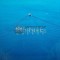 Infinite Greece (Album) (AI1)