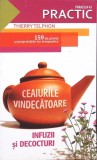 Ceaiuri Vindecatoare. Infuzii si Decocturi - Thierry Telphon, Paralela 45, 2009, Medicina alternativa, 312 pagini