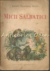 Micii Salbatici - Ernest Thompson Seton foto