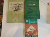 Livada de l&acirc;ngă casă. N. Smirnov-C. Sireaeva. + Cadou Gradina, via și livada +