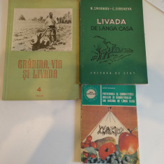 Livada de lângă casă. N. Smirnov-C. Sireaeva. + Cadou Gradina, via și livada +