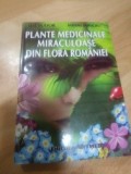 Plante medicinale miraculoase din flora Romaniei
