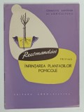 RECOMANDARI PRIVIND INFIINTAREA PLANTATIILOR POMICOLE , 1963