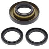Cumpara ieftin Set de garnituri diferentiale Spate pentru HONDA TRX 400/450 1995-2001