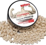 Wafters ADDICTED CARP BAITS Clepsidra Premium, Usturoi, 8mm, 40ml