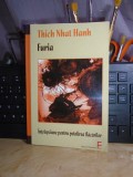 THICH NHAT HAHN - FURIA : INTELEPCIUNE PENTRU POTOLIREA FLACARILOR , 2009 #