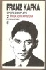 Franz Kafka - Opere Complete Vol. 2, Editura Univers, Roman