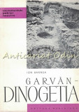 Garvan-Dinogetia - Ion Barnea