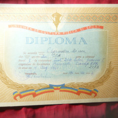 Diploma 1961 Uniunea Cultura Fizica si Sport RPR - Caprarescu Mircea - inot juni