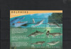 Fauna marina,delfini ,Papua, Nestampilat